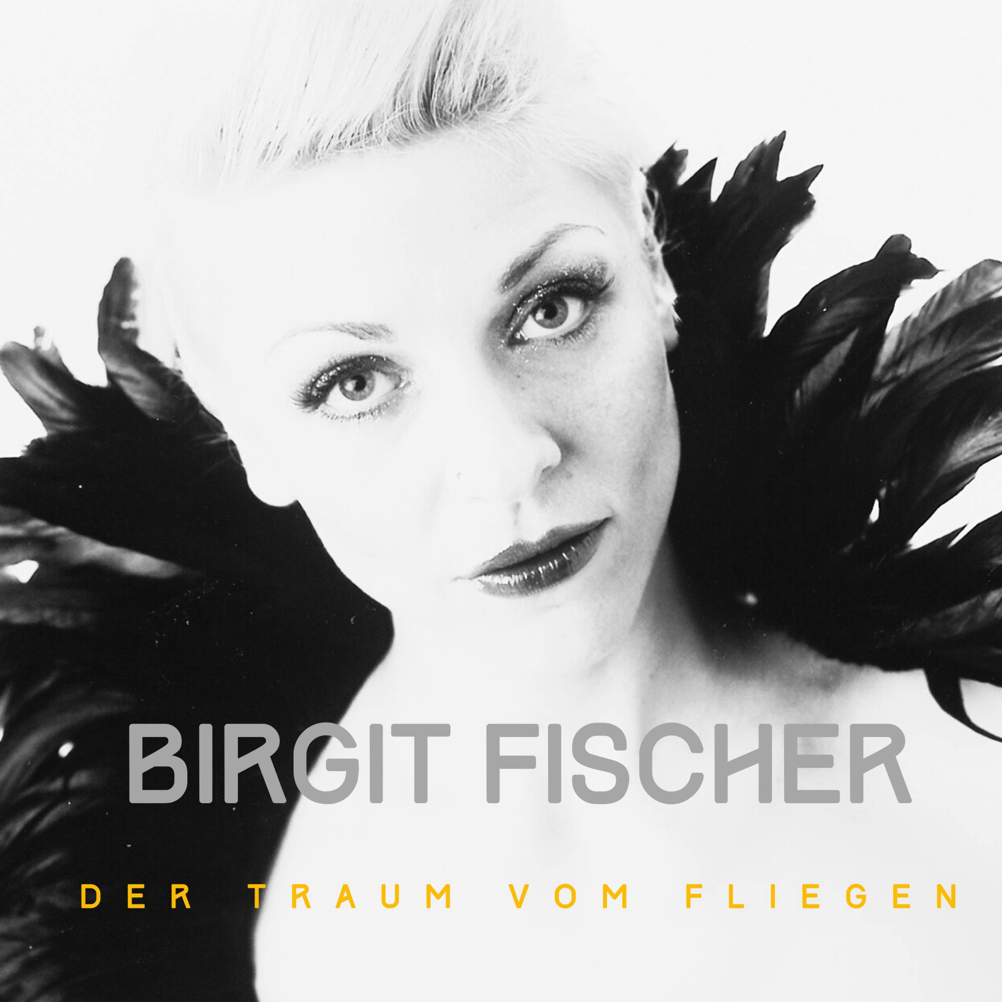 Biggis Version von "Der Traum vom Fliegen"
